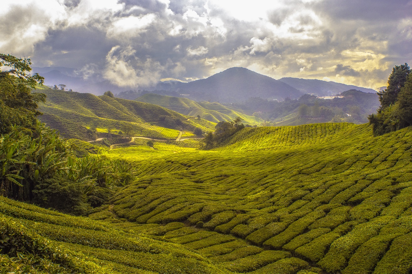 Green valley with hills, mountains, and trees