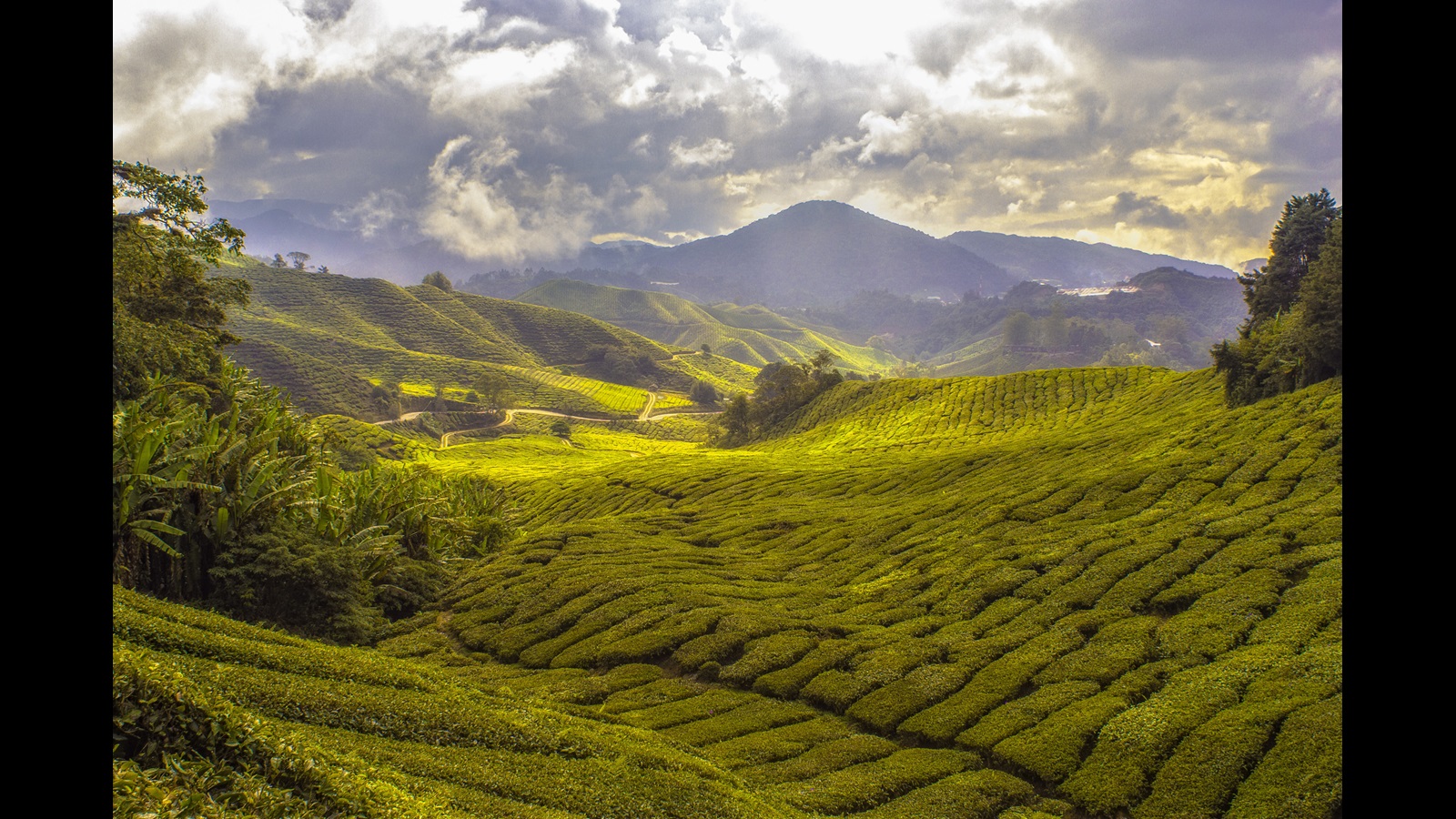 Green valley with hills, mountains, and trees