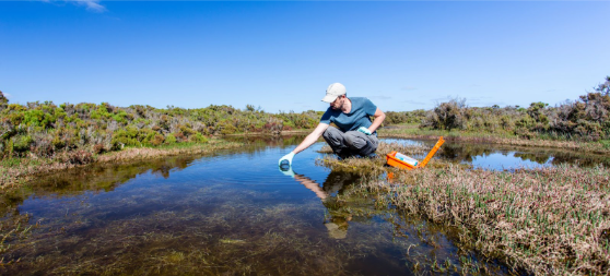 Man taking a sample of water in a wetland in daytime