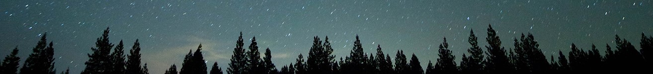 Tops of pine trees against an early evening sky with bright stars