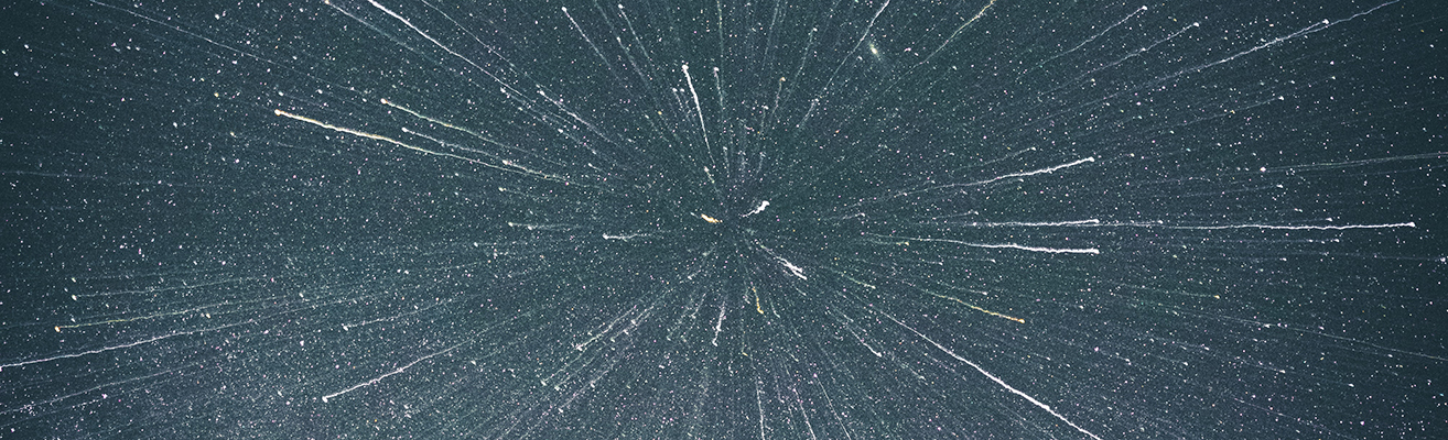 Abscicon header