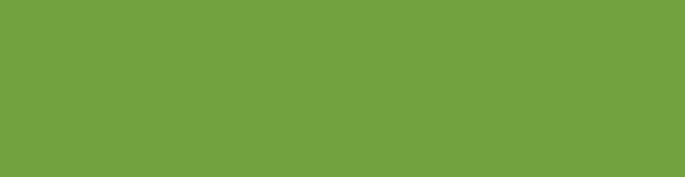AGU Chapmans Footer green rectangle