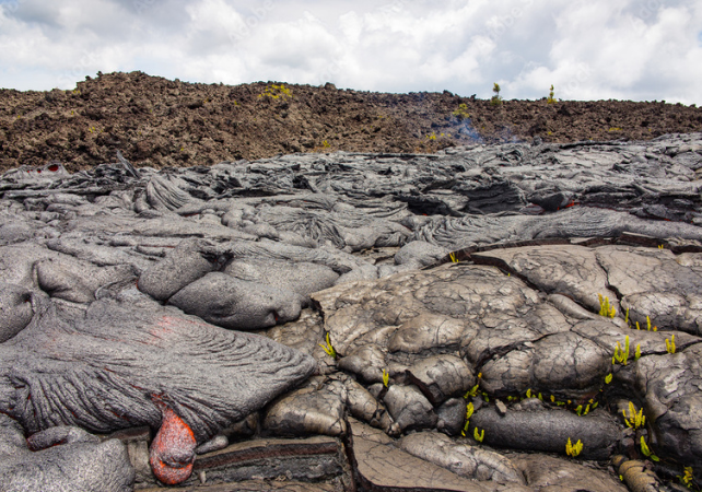 Lava flow hardening. Plant life grows around it. Image attribute: 