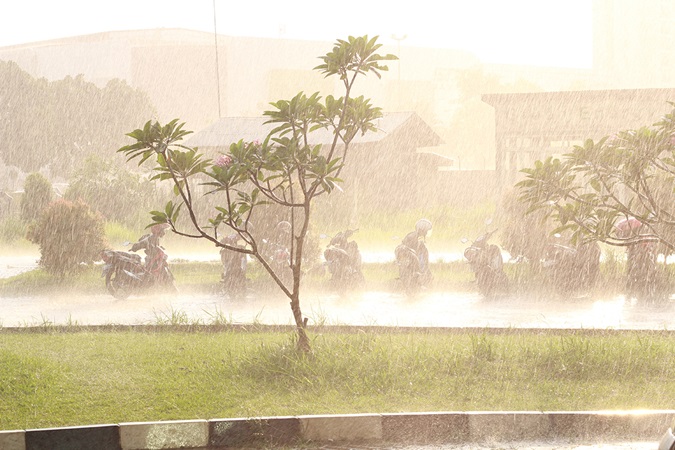 downpour with a row of parked mopeds getting drenched