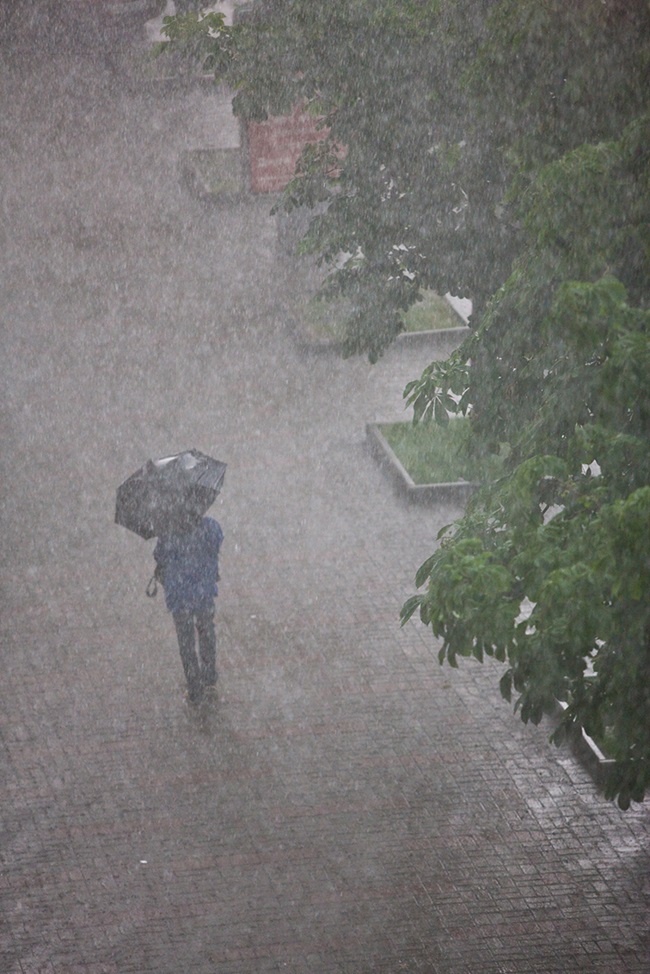 person walking with an umbrella in the pouring rain