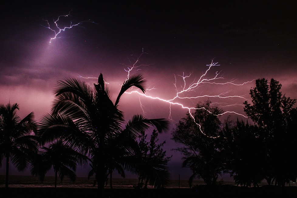Lighting in a night sky with palm trees in foreground