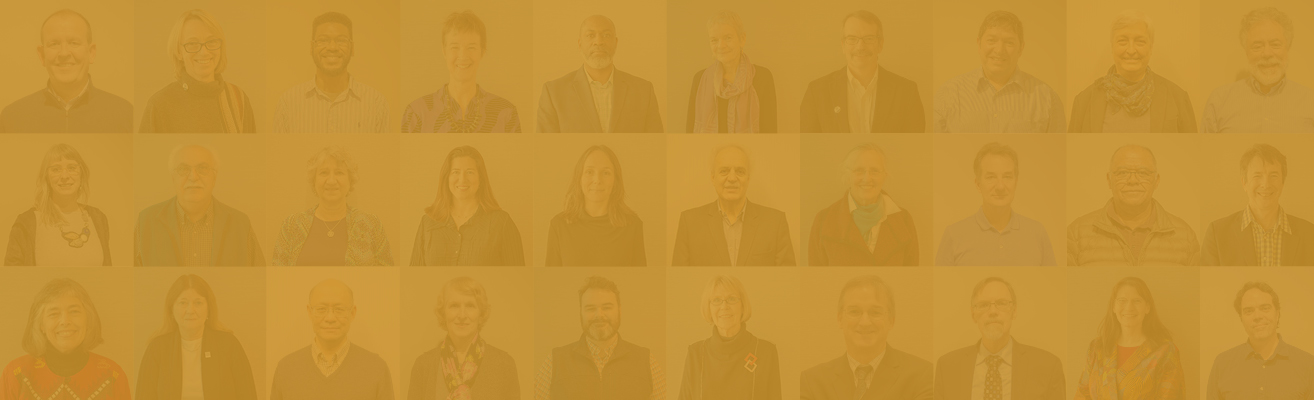 Elections header