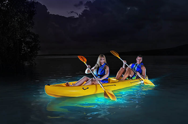 Bioluminescent Bay Tour in Puerto Rico