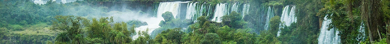 FIHM header 1