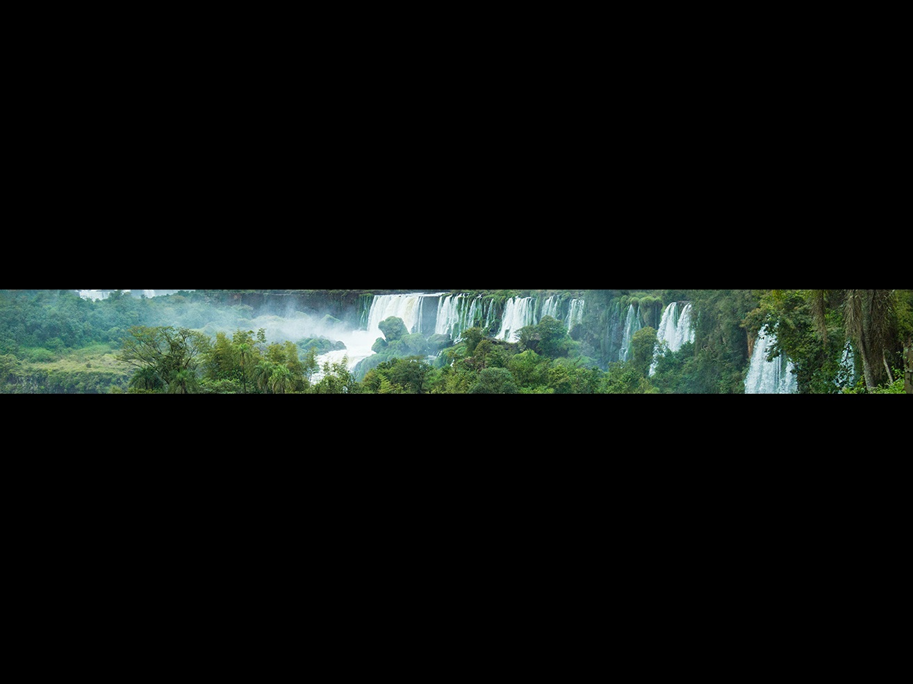 FIHM header 1