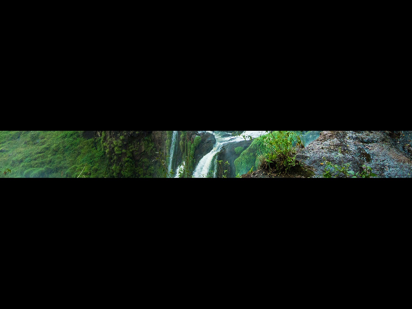 FIHM header