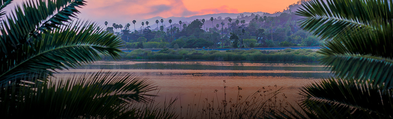 Santa Barbara, California outdoors scene, body of water framed by palm trees
