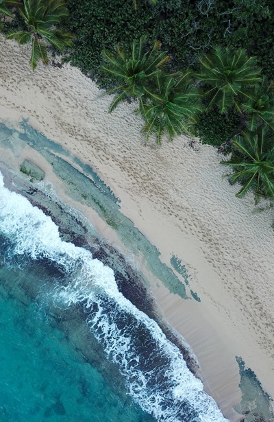 aerial photo of palm trees near beach during daytime, Mar Chiquita Beach, Tierras Nuevas Poniente, Manatí, Puerto Rico