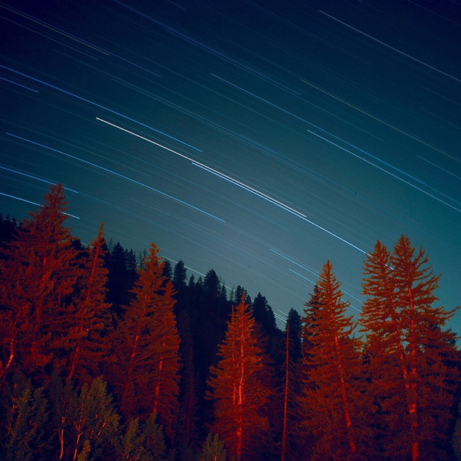 Trees under a read light with long exposure stars in background