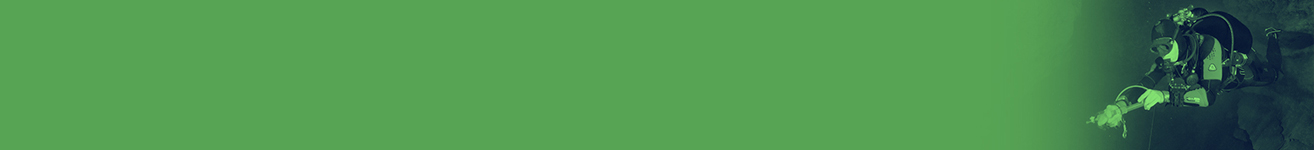 #AGU21 Banner Green Single Image