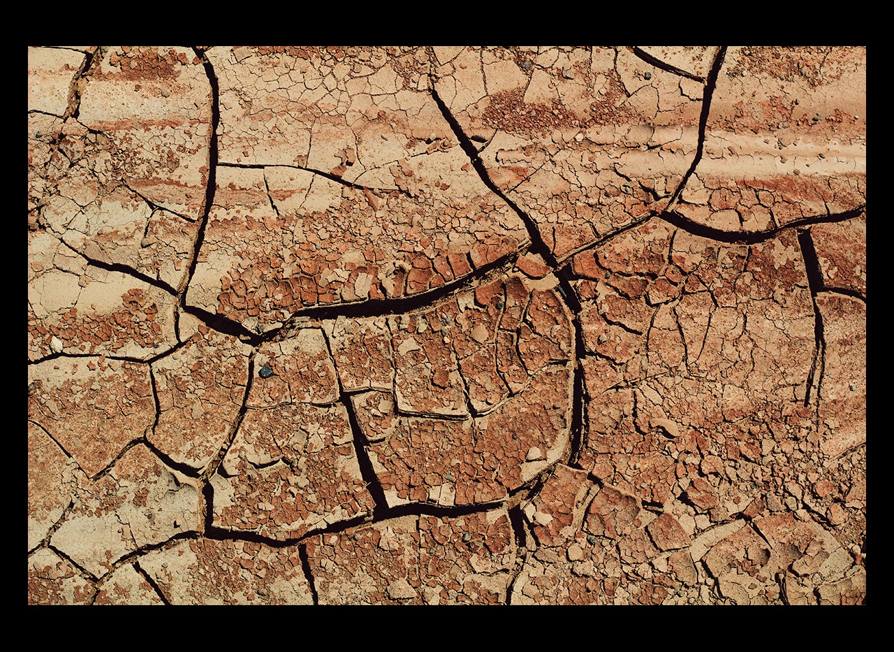 Cracked soil from drought