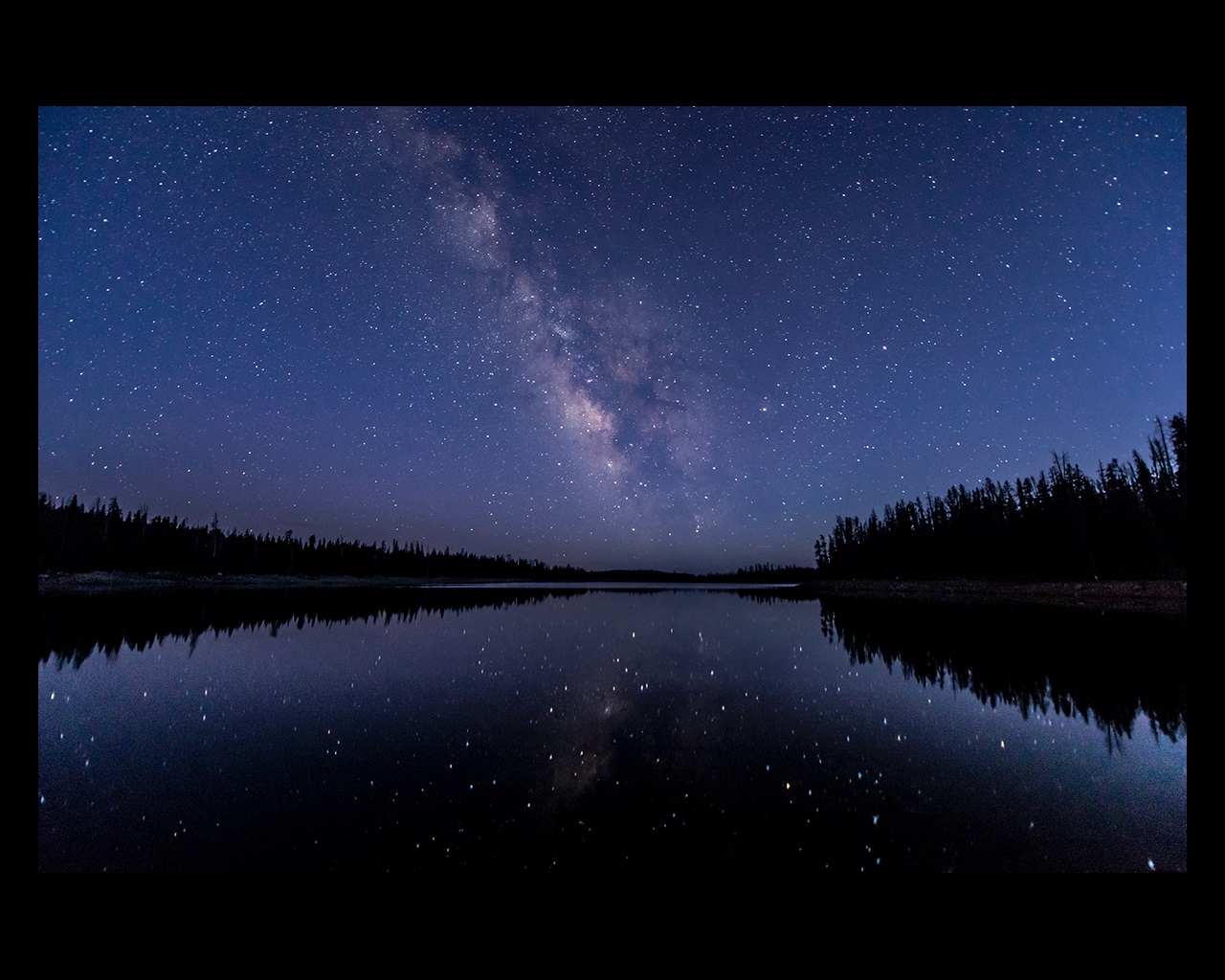 Lake with trees and reflection of stars