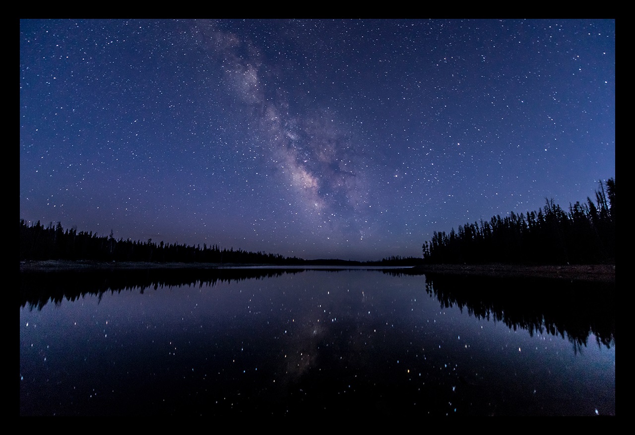 Lake with trees and reflection of stars