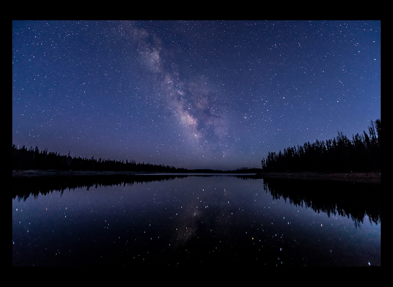 Lake with trees and reflection of stars