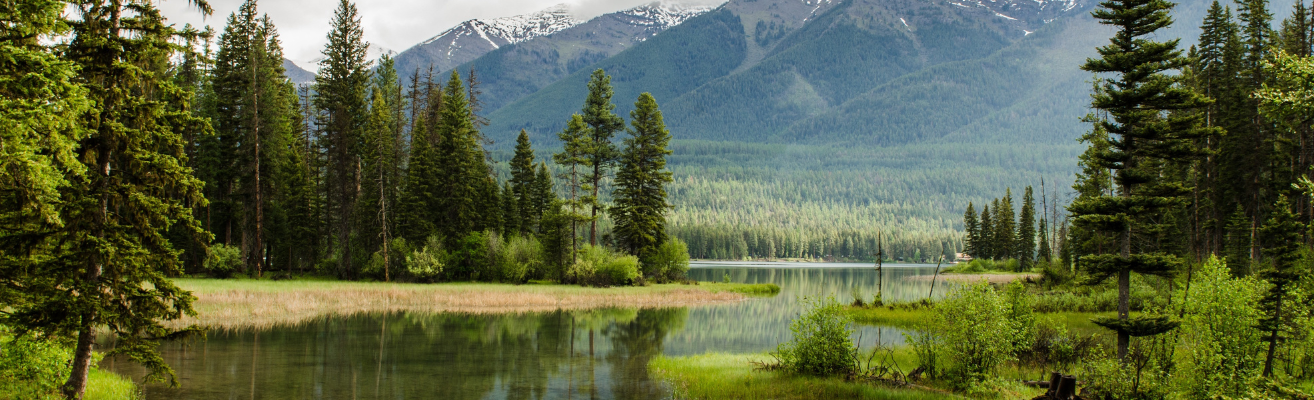 Tranquil lake surrounded by pine trees. A snow-peaked mountain range is in the background.