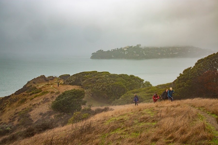 Far shot of group hiking Angel Island 