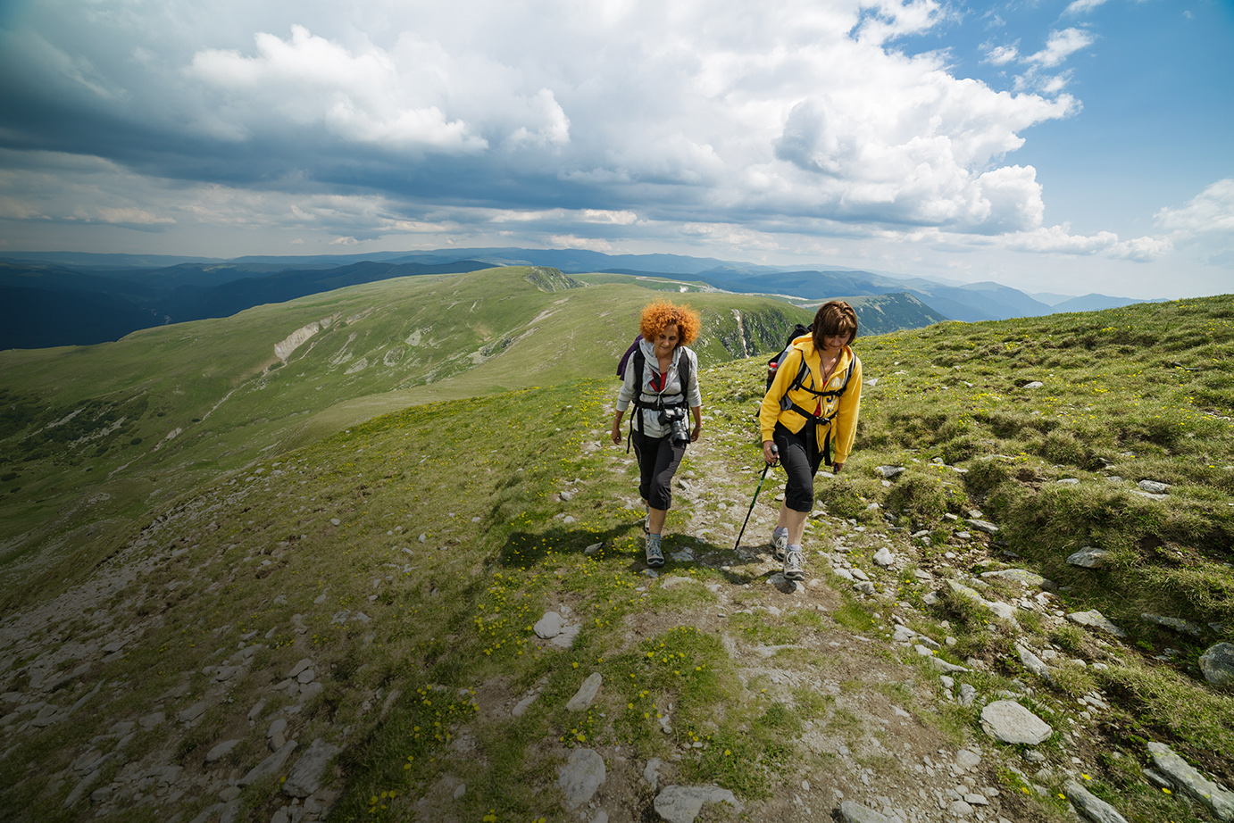 Hikers walking on a trail into the mountains, on a summer day