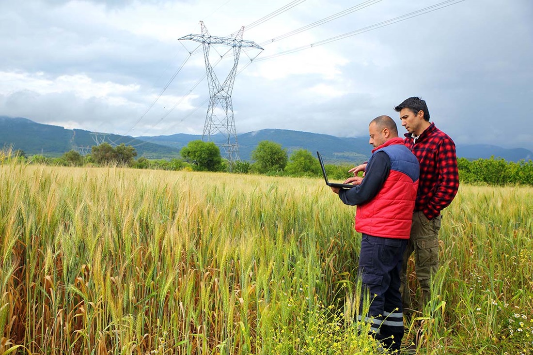 Two men in a field with laptop