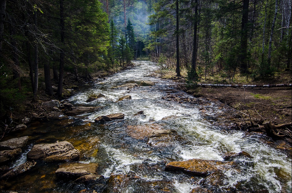 Rocky river flowing through forest