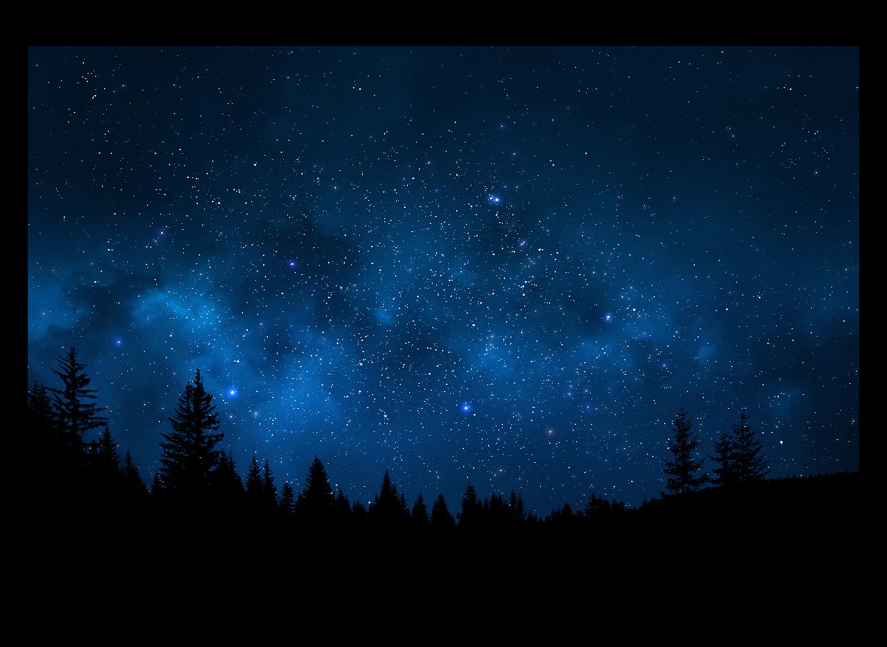 Landscape showing trees against sky full of stars