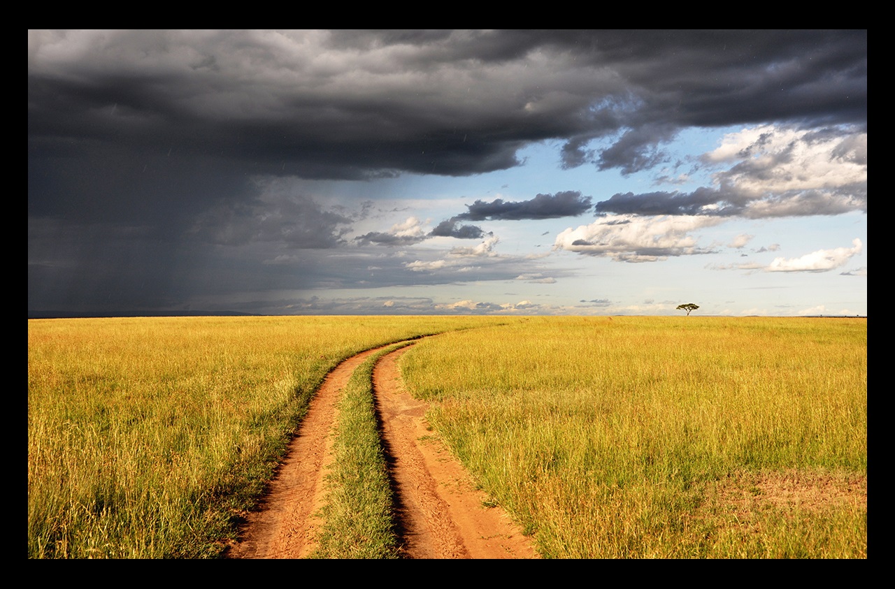 Dirt road in grassland with a storm approaching in distance