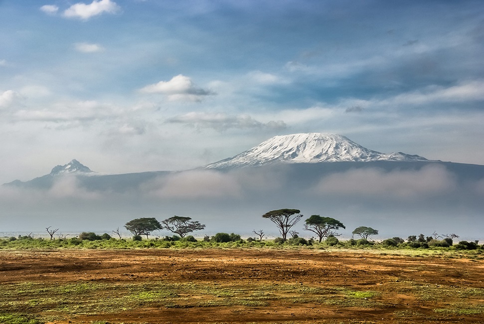 Savanna and trees with Mount Kilimanjaro in distance