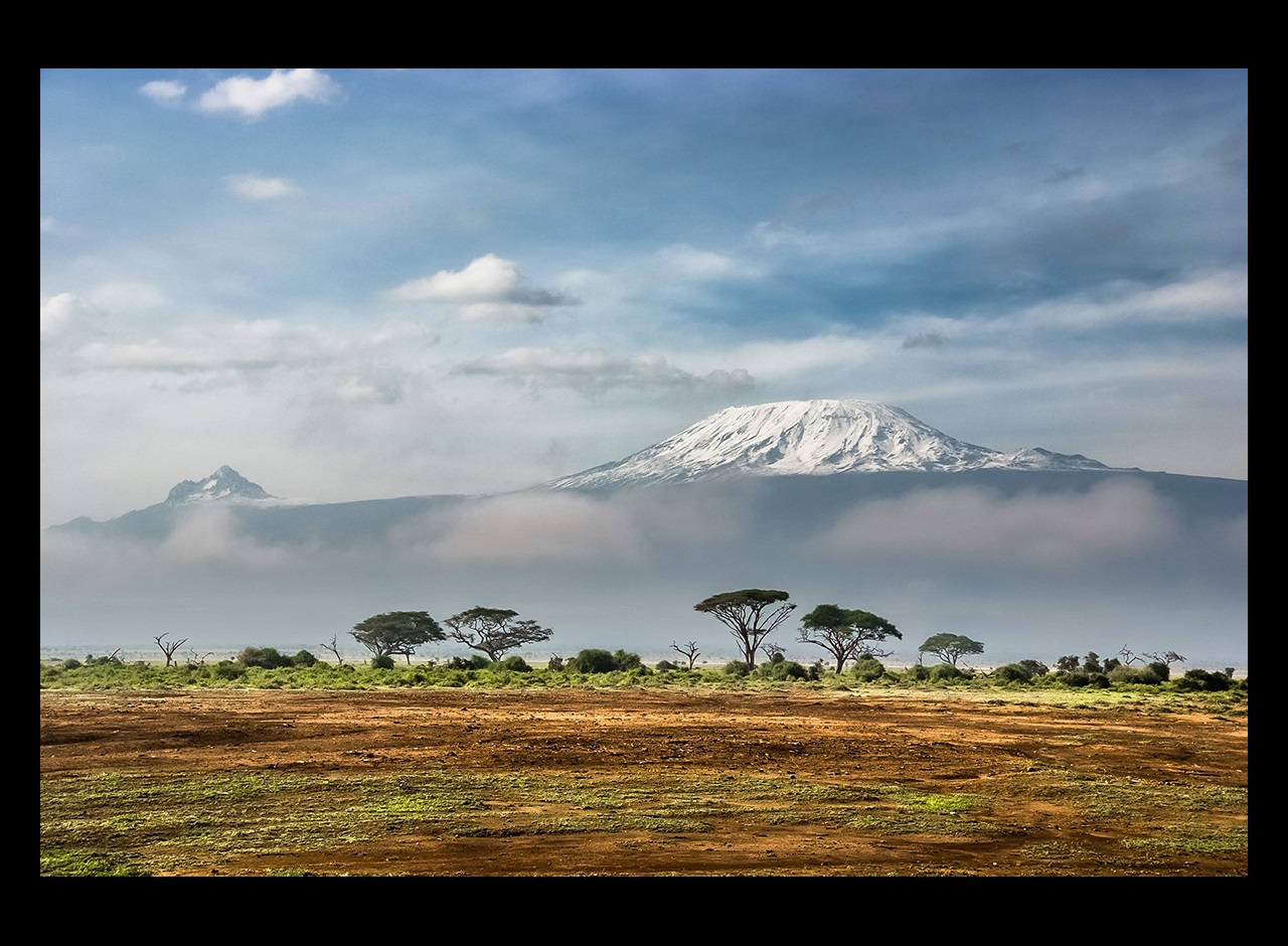 Savanna and trees with Mount Kilimanjaro in distance