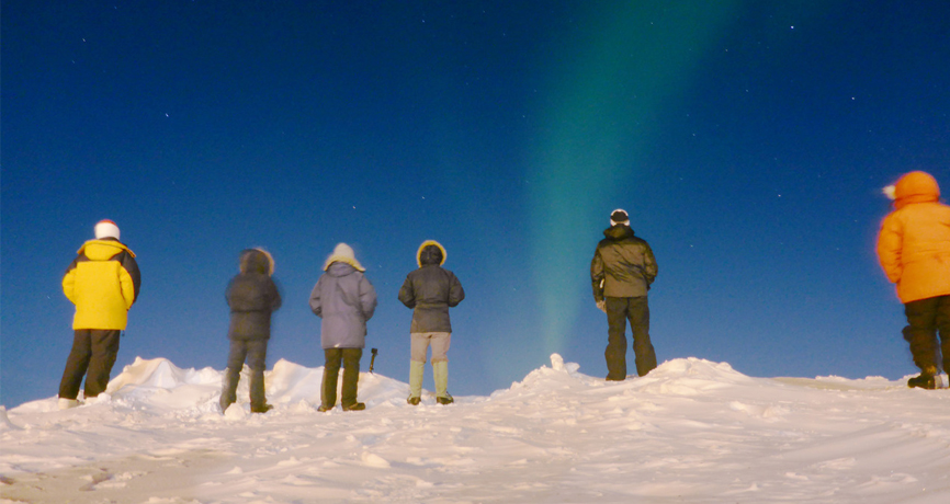 People looking up at the northern lights in Alaska