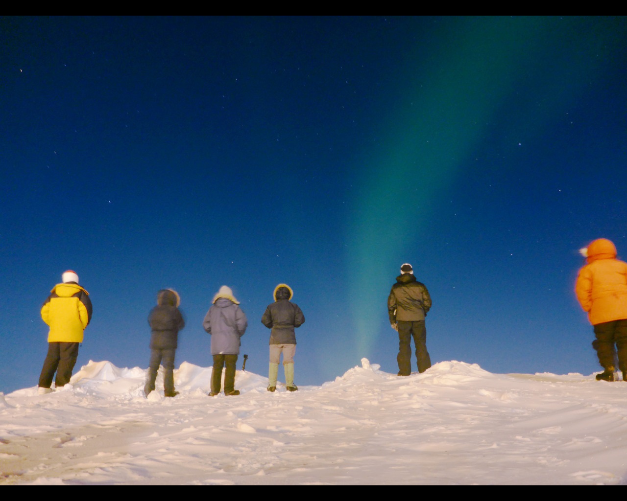 People looking up at the northern lights in Alaska