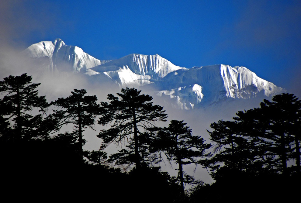 Picture of mountains with trees in the foreground in the Khumbu region near Mt. Everest