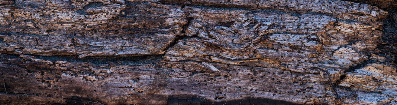 Up close view of rock formation texture