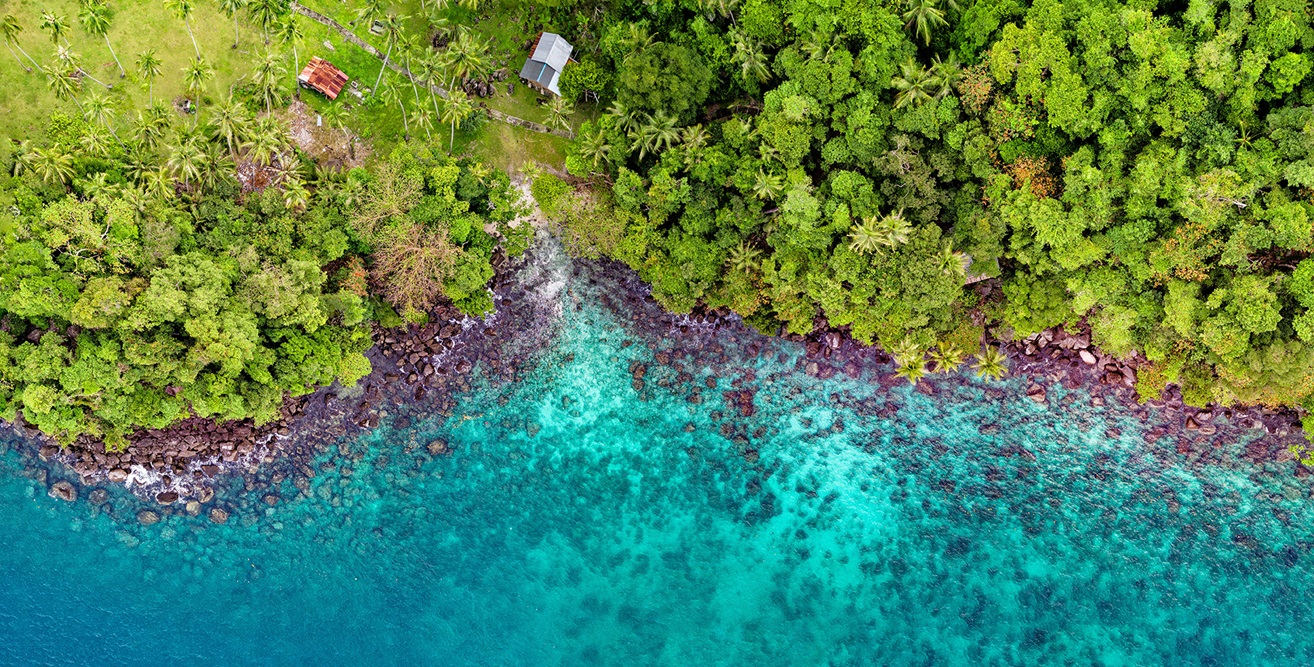 Ocean shore with rocky land and trees