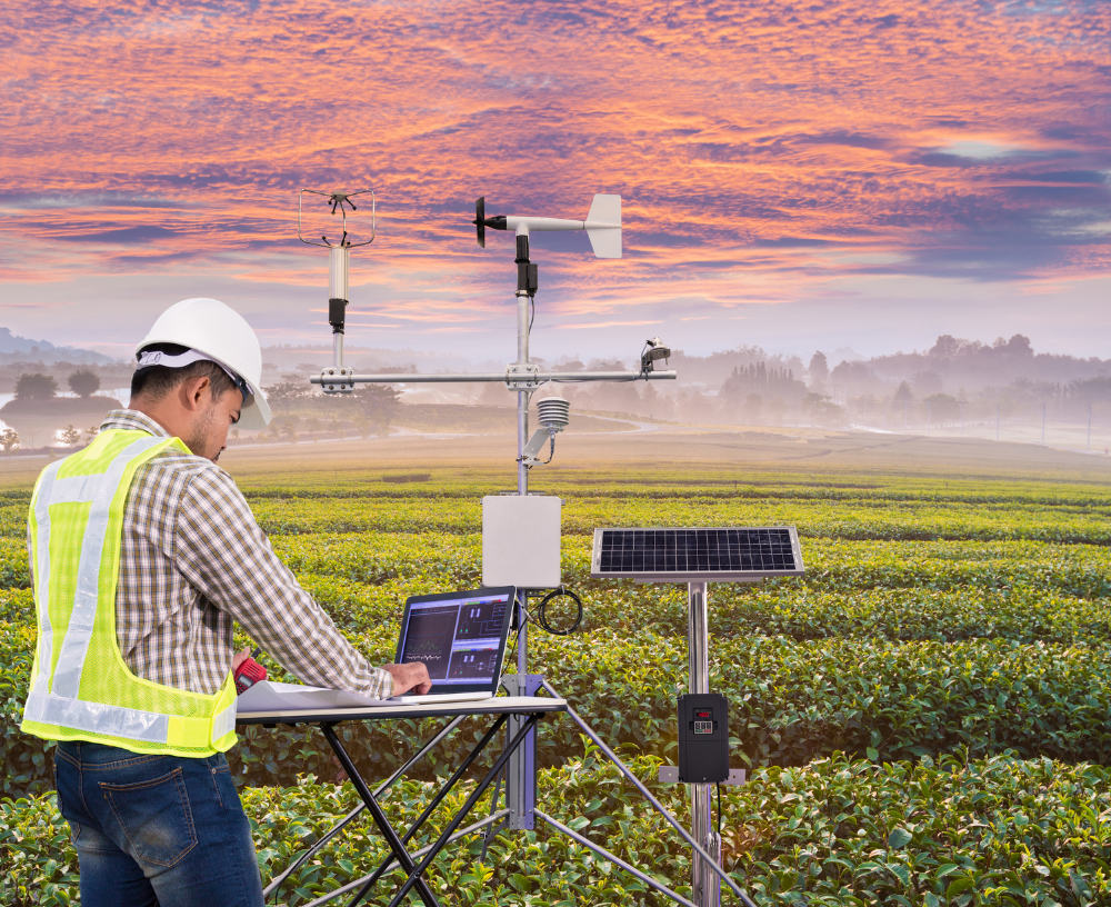 Composite photo. Man collects weather data with meteorological instrument. Background is tea agricultural field with pink clouds and mountain.