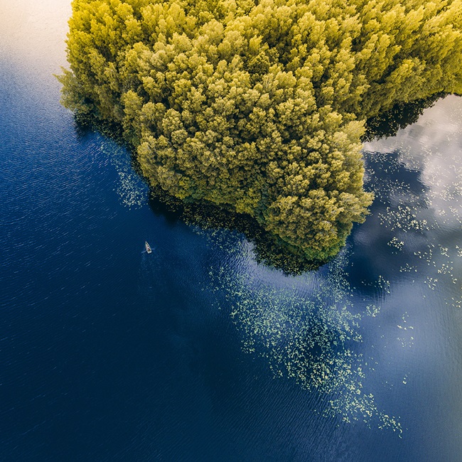 Aerial view of lake and trees in Lithuania