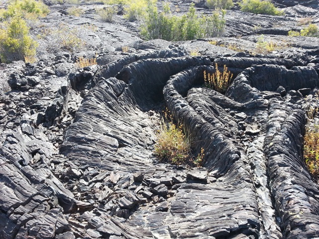 folded black lava rock field with sparse grasses