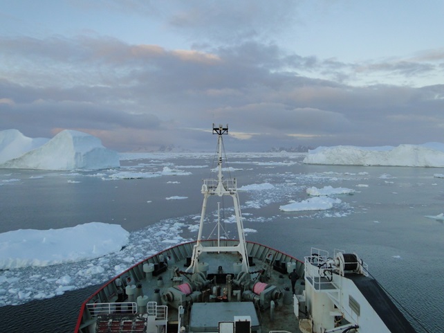 looking out over the bow Bow of the RSS James Clark Ross at a field of icebergs