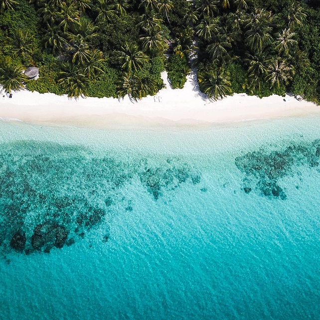 Aerial view of tropical beach