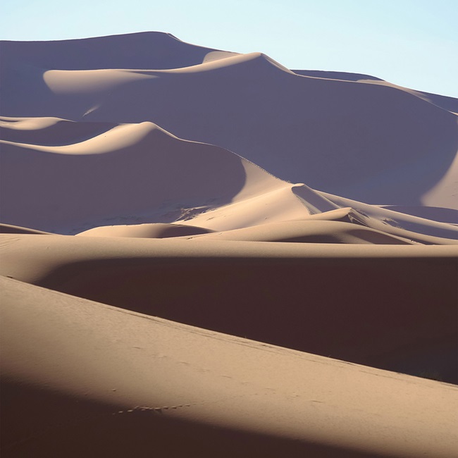 A desert of large sandy dunes from foreground to horizon.