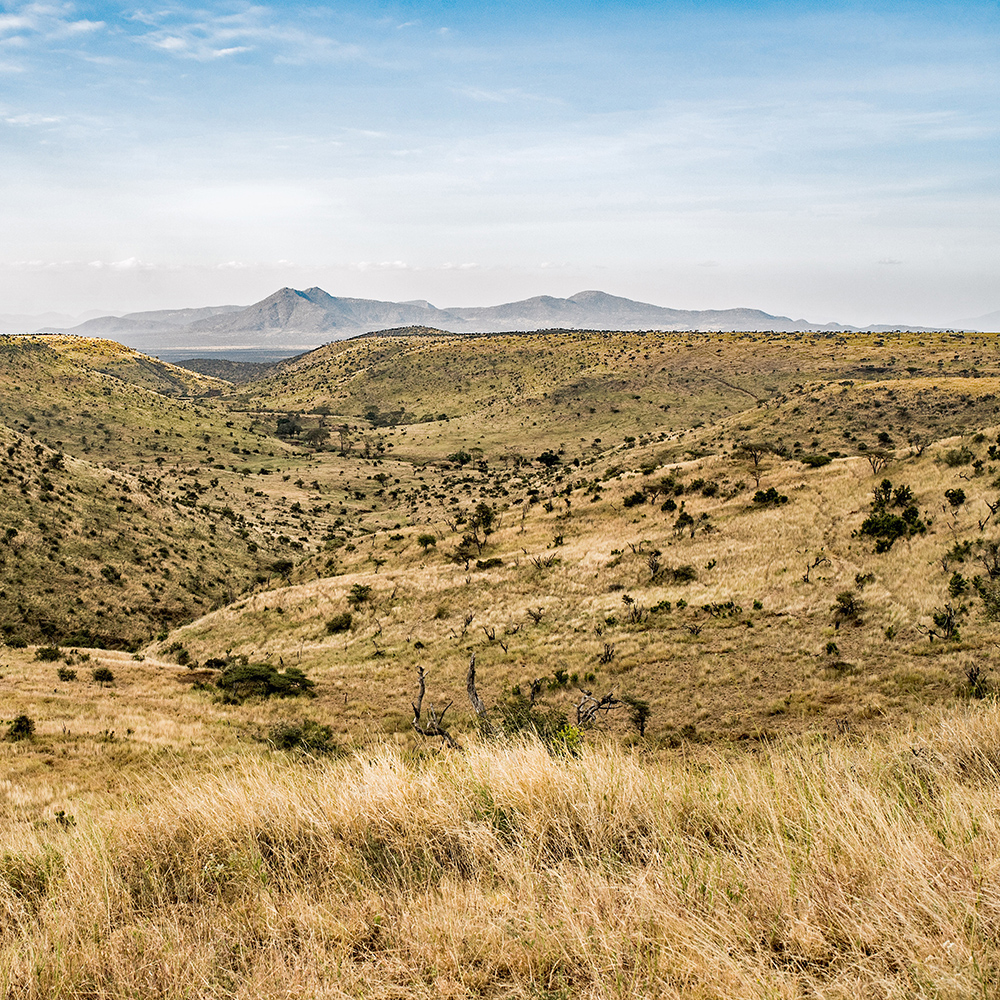 Brown grasslands and hills with mountains in background