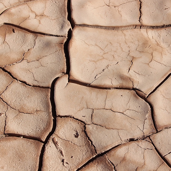 close up of cracks on a dry ground. 