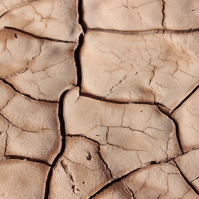 close up of cracks on a dry ground.