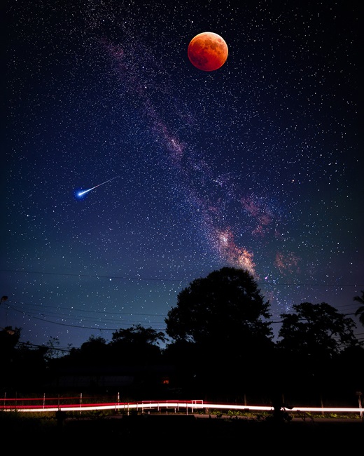 Night view with stars, moon, and trees