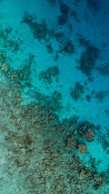 View from above looking at underwater rocks