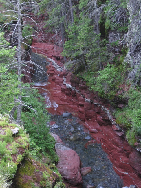 Stream flowing through gorge in forest