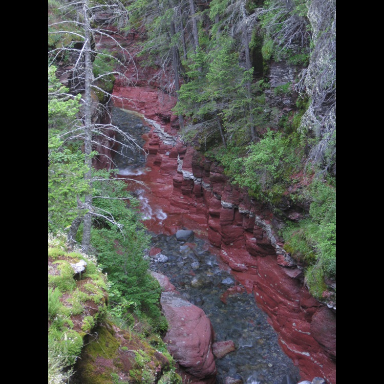 Stream flowing through gorge in forest